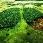 Οι 6 νίκες της φύσης το 2022 που γεμίζουν ελπίδα για το μέλλον και την κλιματική αλλαγή